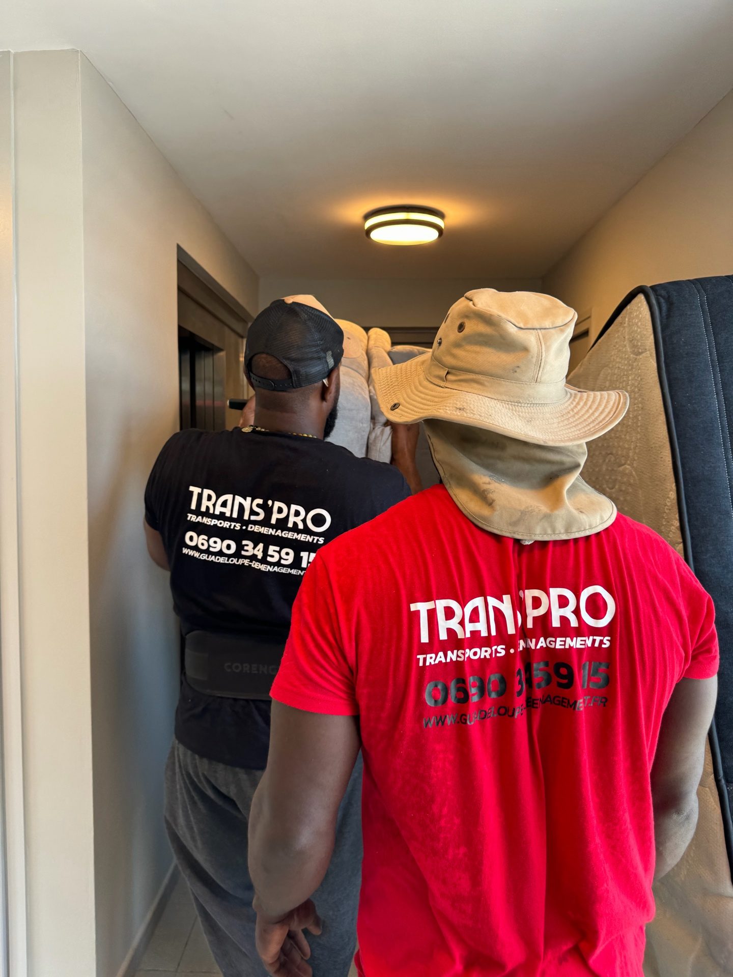 Équipe Trans'Pro en action déménagement Guadeloupe